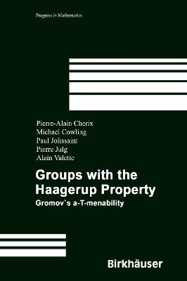 Groups with the Haagerup Property: Gromov’s a-T-menability - Pierre-Alain Cherix,Michael Cowling,Paul Jolissaint - cover
