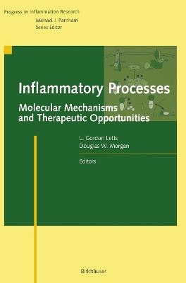 Inflammatory Processes:: Molecular Mechanisms and Therapeutic Opportunities - cover