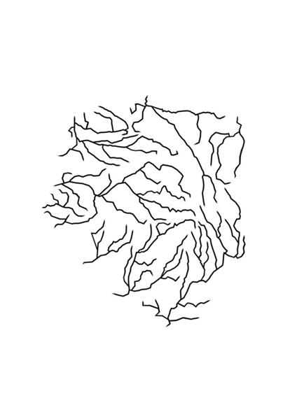 Métaphysique limousine