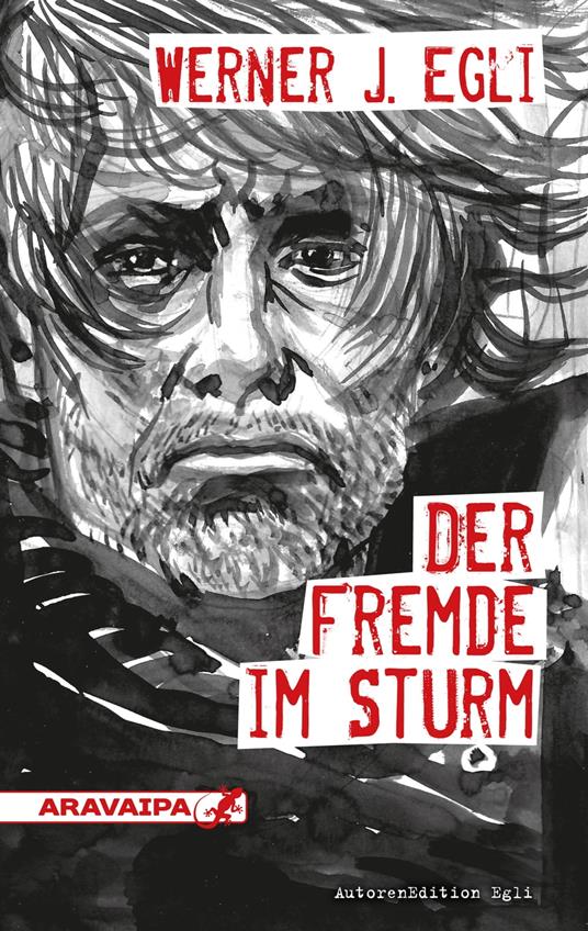 Der Fremde im Sturm - Werner J. Egli - ebook