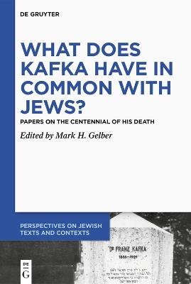 What Does Kafka have in Common with Jews?: Papers on the Centennial of his Death - cover