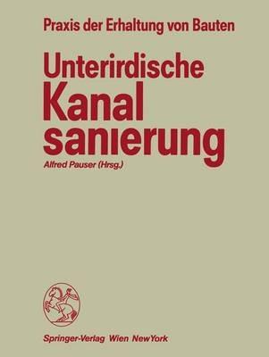 Unterirdische Kanalsanierung - cover