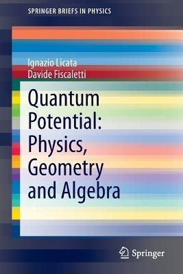 Quantum Potential: Physics, Geometry and Algebra - Ignazio Licata,Davide Fiscaletti - cover