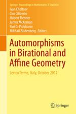 Automorphisms in Birational and Affine Geometry