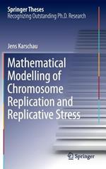 Mathematical Modelling of Chromosome Replication and Replicative Stress