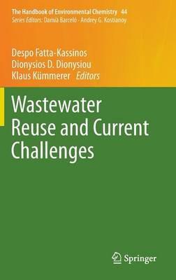 Wastewater Reuse and Current Challenges - cover