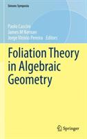 Foliation Theory in Algebraic Geometry