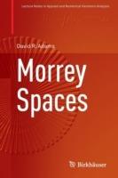 Morrey Spaces