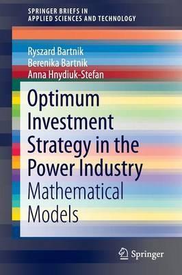 Optimum Investment Strategy in the Power Industry: Mathematical Models - Ryszard Bartnik,Berenika Bartnik,Anna Hnydiuk-Stefan - cover