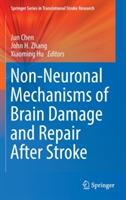 Non-Neuronal Mechanisms of Brain Damage and Repair After Stroke