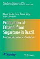 Production of Ethanol from Sugarcane in Brazil: From State Intervention to a Free Market - Márcia Azanha Ferraz Dias de Moraes,David Zilberman - cover