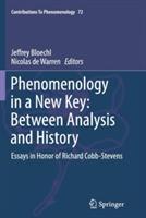 Phenomenology in a New Key: Between Analysis and History: Essays in Honor of Richard Cobb-Stevens