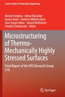Microstructuring of Thermo-Mechanically Highly Stressed Surfaces: Final Report of the DFG Research Group 576