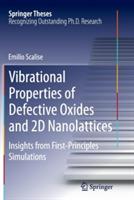 Vibrational Properties of Defective Oxides and 2D Nanolattices: Insights from First-Principles Simulations