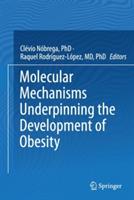 Molecular Mechanisms Underpinning the Development of Obesity - cover