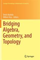 Bridging Algebra, Geometry, and Topology - cover