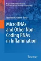 MicroRNAs and Other Non-Coding RNAs in Inflammation - cover