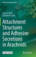 Attachment Structures and Adhesive Secretions in Arachnids