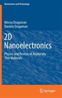 2D Nanoelectronics: Physics and Devices of Atomically Thin Materials - Mircea Dragoman,Daniela Dragoman - cover