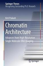 Chromatin Architecture: Advances From High-resolution Single Molecule DNA Imaging