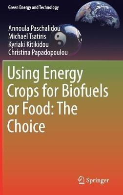 Using Energy Crops for Biofuels or Food: The Choice - Annoula Paschalidou,Michael Tsatiris,Kyriaki Kitikidou - cover