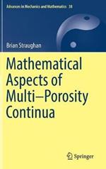 Mathematical Aspects of Multi–Porosity Continua