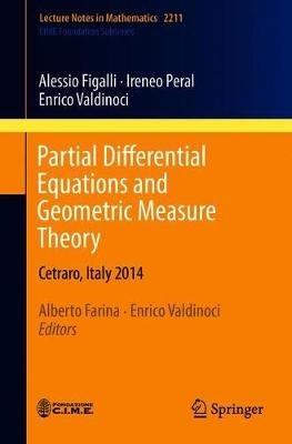 Partial Differential Equations and Geometric Measure Theory: Cetraro, Italy 2014 - Alessio Figalli,Ireneo Peral,Enrico Valdinoci - cover
