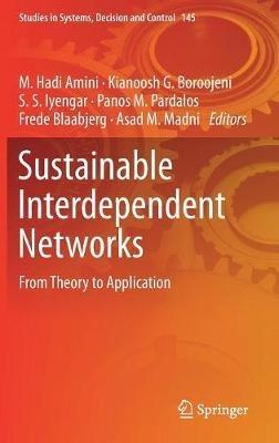 Sustainable Interdependent Networks: From Theory to Application - cover