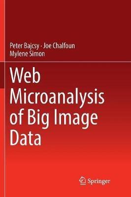 Web Microanalysis of Big Image Data - Peter Bajcsy,Joe Chalfoun,Mylene Simon - cover