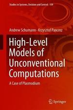High-Level Models of Unconventional Computations: A Case of Plasmodium