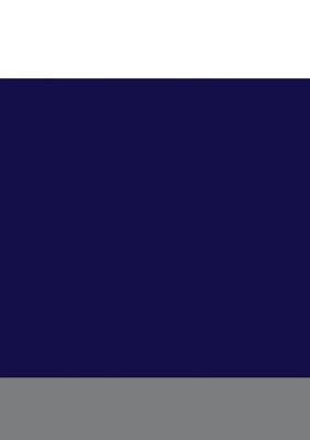 The Rise and Growth of American Politics: A Sketch of Constitutional Development - Henry Jones Ford - cover