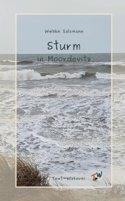 Sturm in Moordevitz: Ein Krimi zum großen Sturmhochwasser an der Ostsee 1872 - Wiebke Salzmann - cover