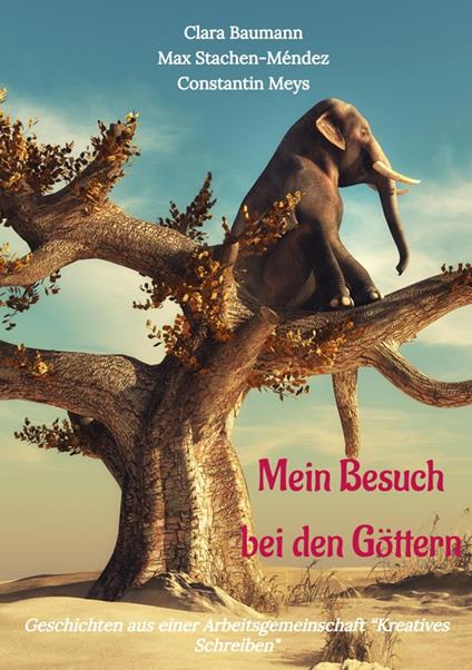 Mein Besuch bei den Göttern - Clara Baumann,Constantin Meys,Max Stachen,Beate Thieswald-Schechter - ebook