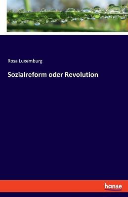 Sozialreform oder Revolution - Rosa Luxemburg - cover