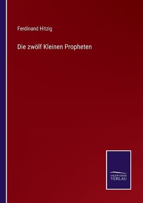 Die zwölf Kleinen Propheten - Ferdinand Hitzig - cover