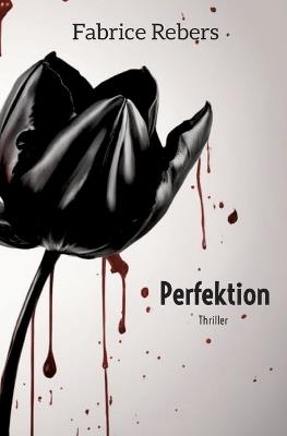 Perfektion - Fabrice Rebers - cover