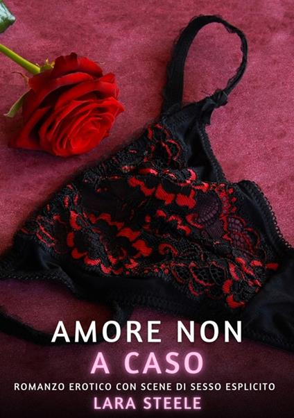 Amore non a Caso - Lara Steele - ebook