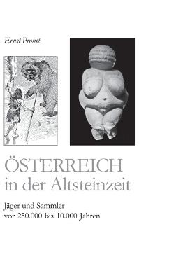 Österreich in der Altsteinzeit: Jäger und Sammler vor 250.000 bis 10.000 Jahren - Ernst Probst - cover