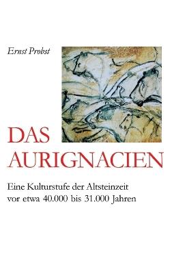 Das Aurignacien: Eine Kulturstufe der Altsteinzeit vor etwa 40.000 bis 31,000 Jahren - Ernst Probst - cover