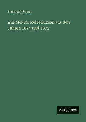 Aus Mexico Reiseskizzen aus den Jahren 1874 und 1875 - Friedrich Ratzel - cover