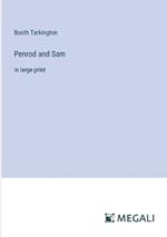 Penrod and Sam: in large print