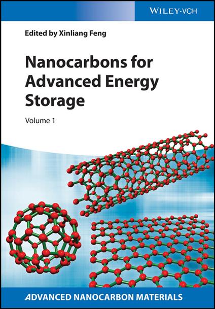Nanocarbons for Advanced Energy Storage, Volume 1