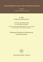 Erfassung, Beurteilung und Bewertung von Deckschichten