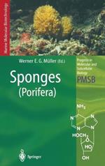 Sponges: Porifera