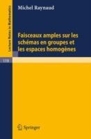 Faisceaux amples sur les schemas en groupes et les espaces homogenes - Michel Raynaud - cover