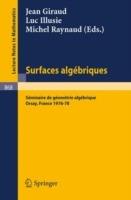Surfaces Algebriques: Seminaire de Geometrie Algebrique d'Orsay 1976-78 - cover