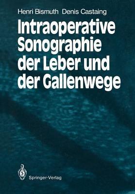 Intraoperative Sonographie der Leber und der Gallenwege - Henri Bismuth,Denis Castaing - cover