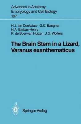 The Brain Stem in a Lizard, Varanus exanthematicus - Hendrik J. ten Donkelaar,Gesineke C. Bangma,Heleen A. Barbas-Henry - cover