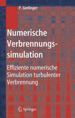 Numerische Verbrennungssimulation: Effiziente numerische Simulation turbulenter Verbrennung - Peter Gerlinger - cover