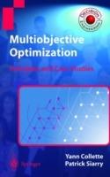 Multiobjective Optimization: Principles and Case Studies - Yann Collette,Patrick Siarry - cover